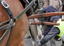 007a - defekte sehen und reparieren - eine kunst